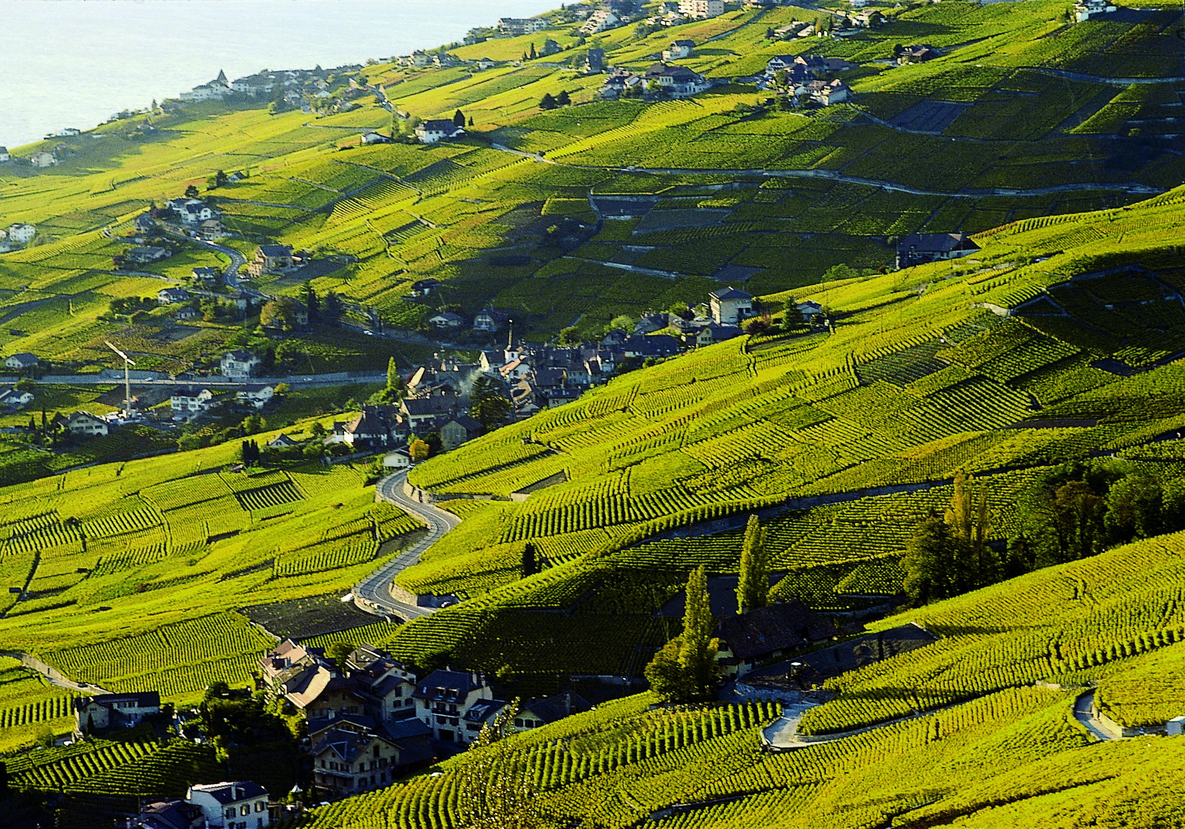 Retraites Populaires, labellisée VAUD AMBASSADEUR