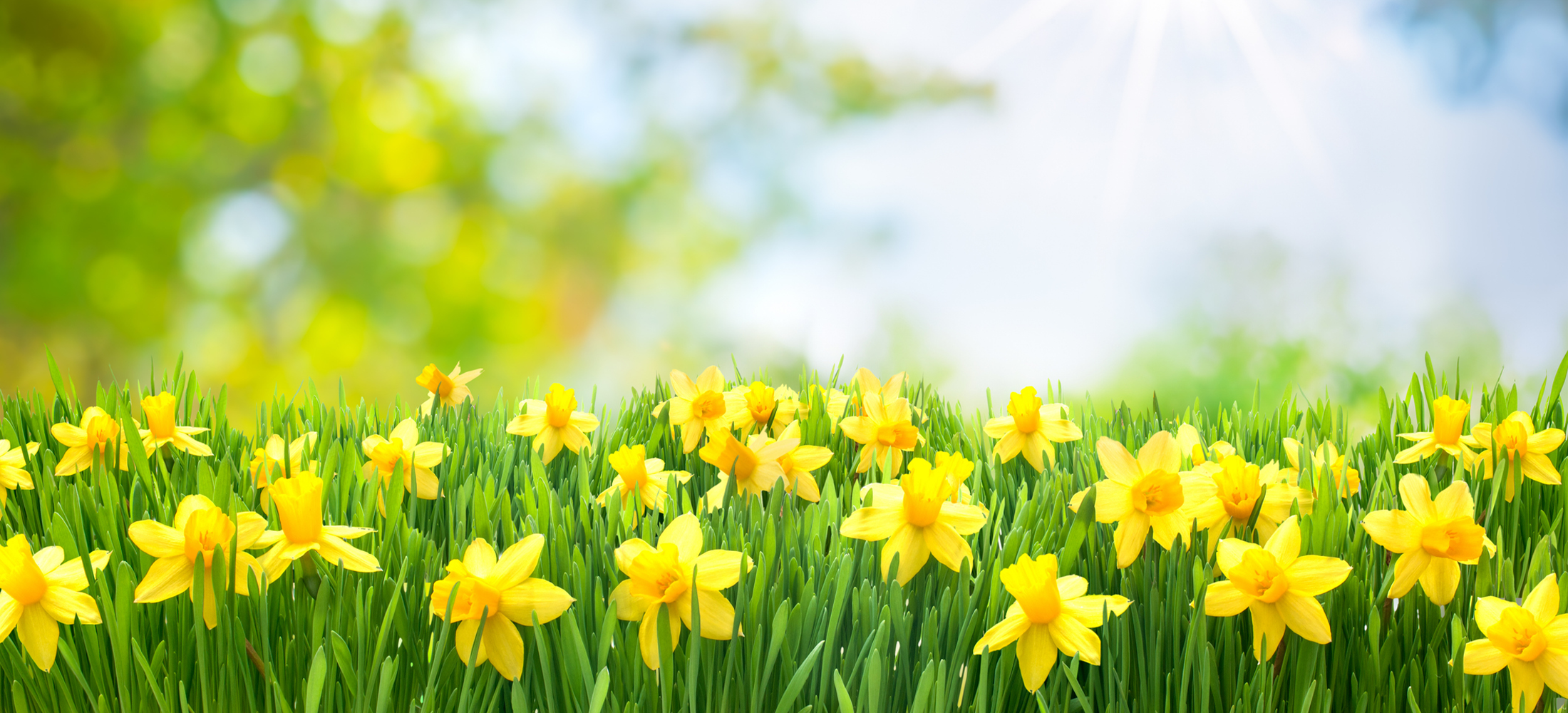 Concours de Pâques - Une création chocolatée à partager ! 