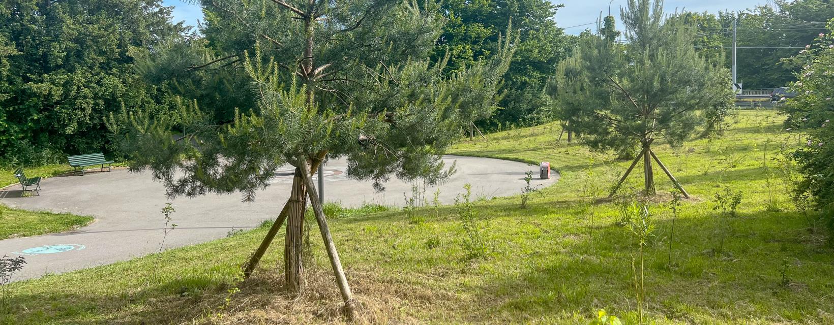 Illustation / Photographie article Bella vita