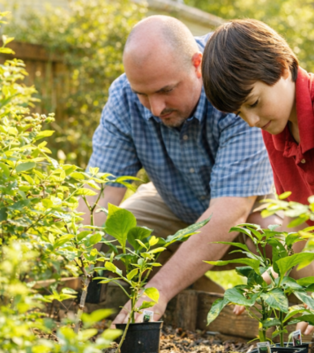 Illustation / Photographie article Bella vita