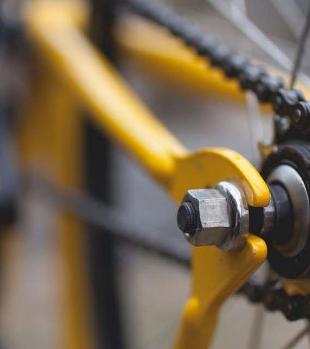 Illustation / Photographie article Bella vita