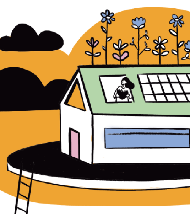 Illustation / Photographie article Bella vita