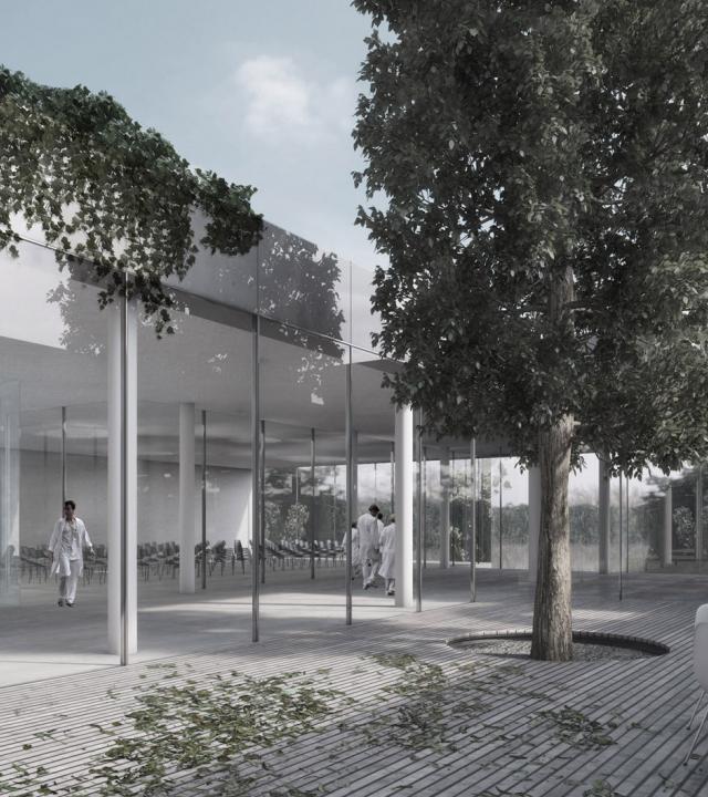 Illustation / Photographie article Bella vita