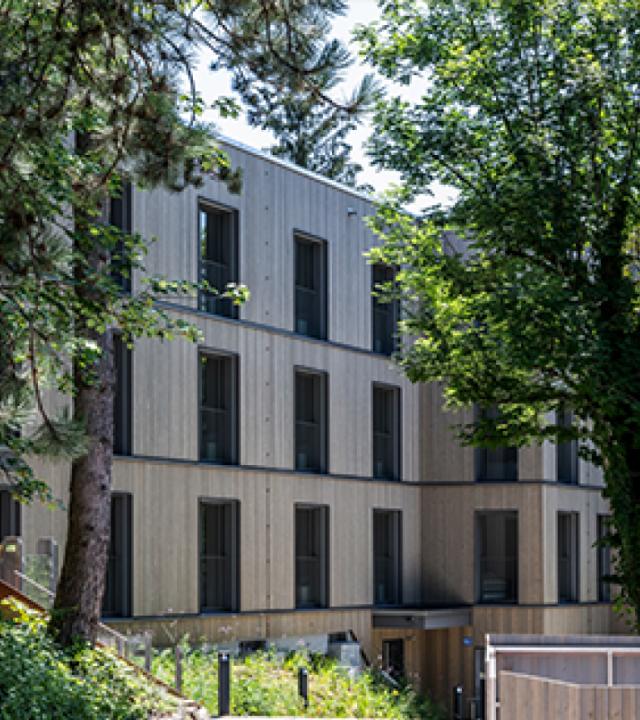 Illustation / Photographie article Bella vita