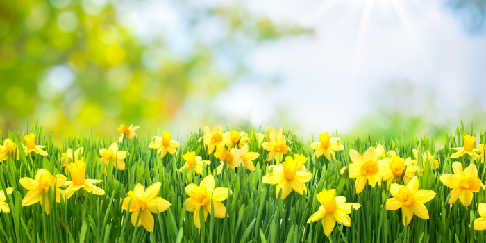 Concours de Pâques - Une création chocolatée à partager ! 